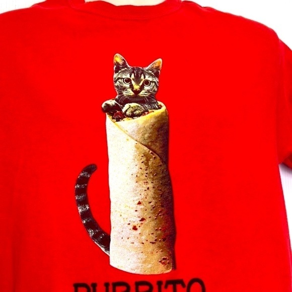 FSD - Cat In A Burrito Called Purrito Graphic Short Sleeve T Shirt Size Medium - Picture 6 of 9